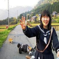 Dataset Image