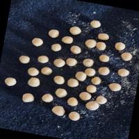 Dataset Image