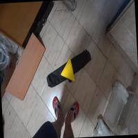 Dataset Image