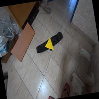 Dataset Image