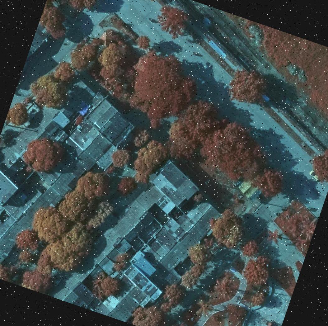 Dataset Image