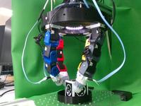 Dataset Image
