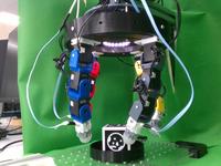Dataset Image