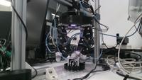 Dataset Image