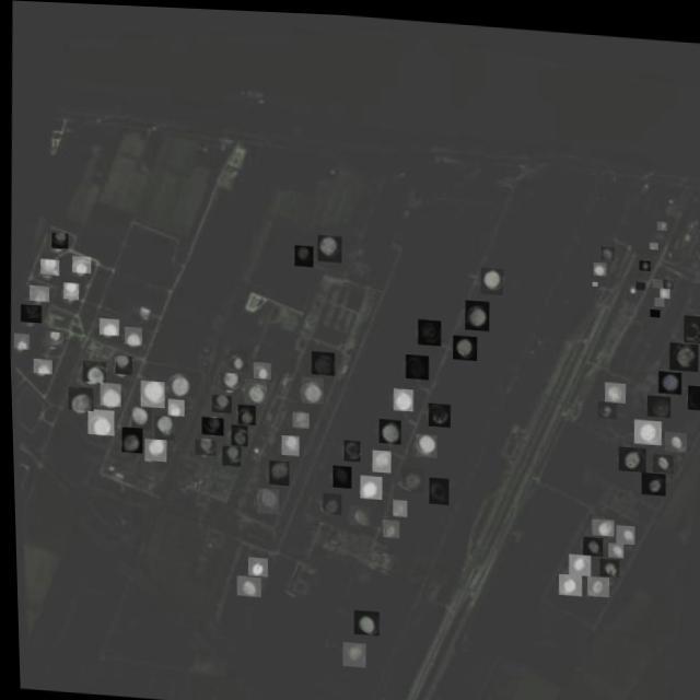 Dataset Image