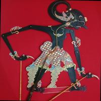Dataset Image
