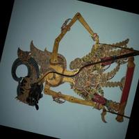 Dataset Image