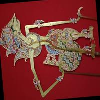 Dataset Image