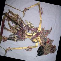 Dataset Image