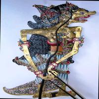 Dataset Image