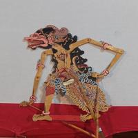 Dataset Image