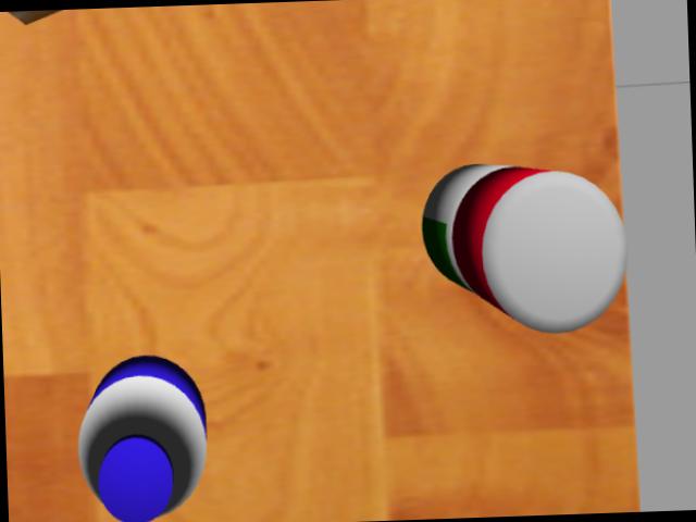 Dataset Image