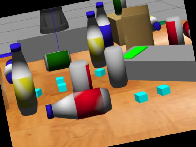 Dataset Image
