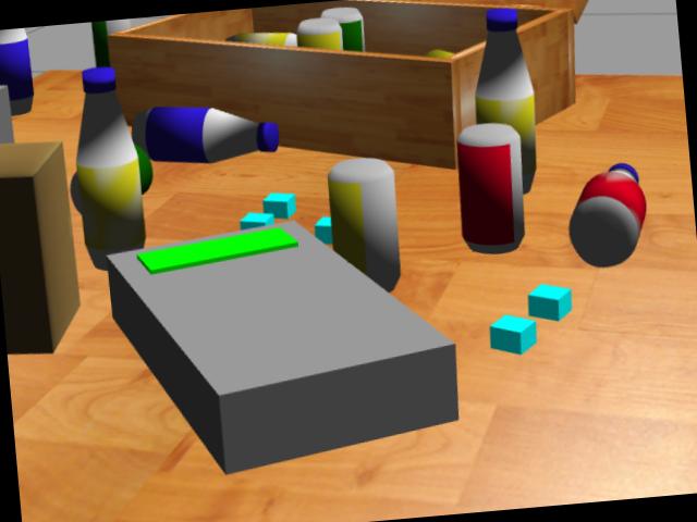 Dataset Image