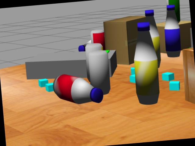 Dataset Image