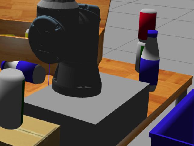 Dataset Image