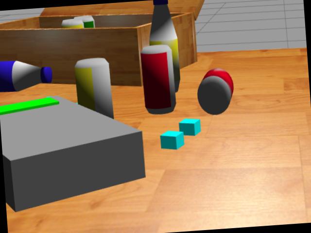 Dataset Image