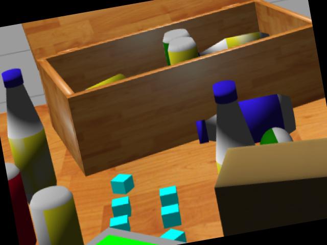 Dataset Image