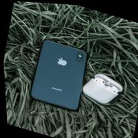 Dataset Image
