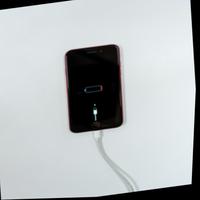 Dataset Image