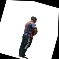 Dataset Image