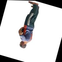 Dataset Image