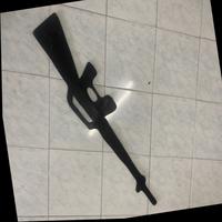 Dataset Image