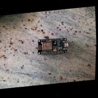 Dataset Image