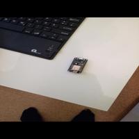 Dataset Image