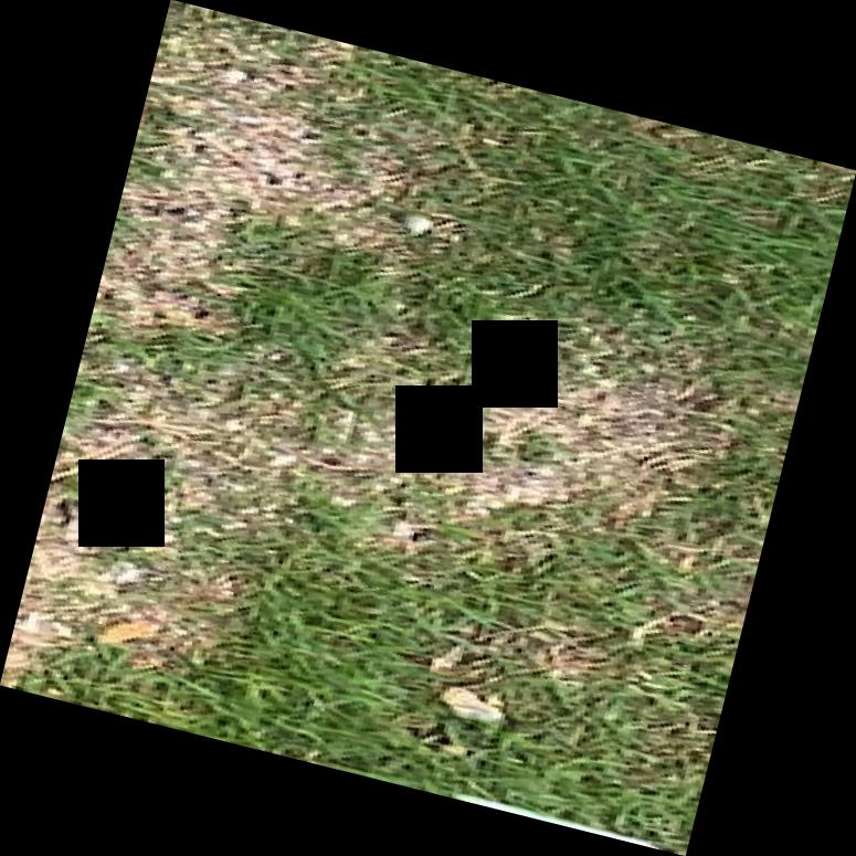 Dataset Image