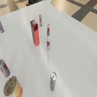 Dataset Image