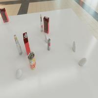 Dataset Image