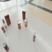 Dataset Image