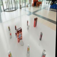 Dataset Image