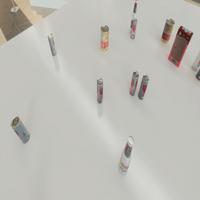 Dataset Image