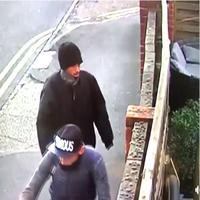 Dataset Image