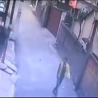Dataset Image