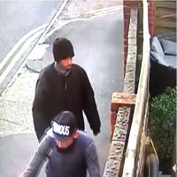 Dataset Image
