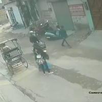 Dataset Image