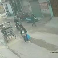 Dataset Image