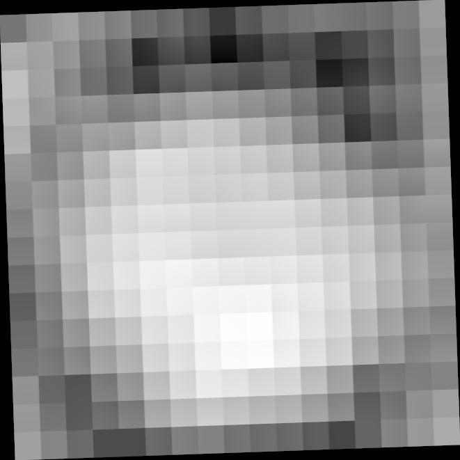 Dataset Image