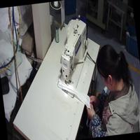 Dataset Image