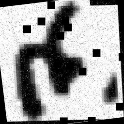 Dataset Image