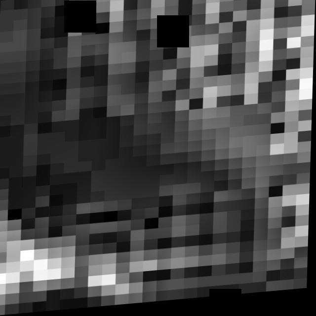 Dataset Image