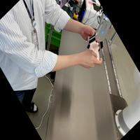 Dataset Image