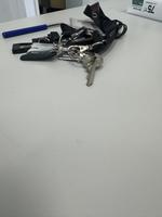 Dataset Image