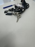 Dataset Image