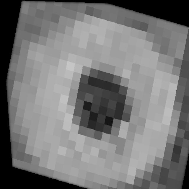 Dataset Image