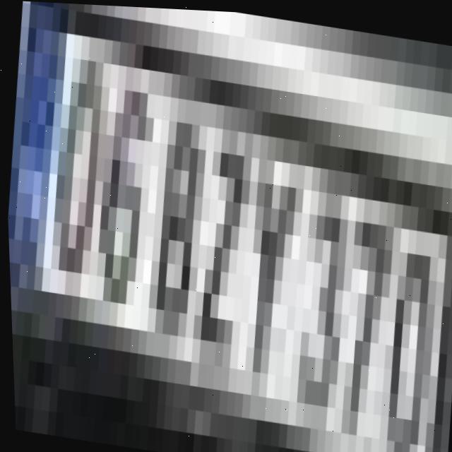 Dataset Image