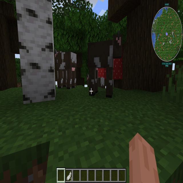 Dataset Image